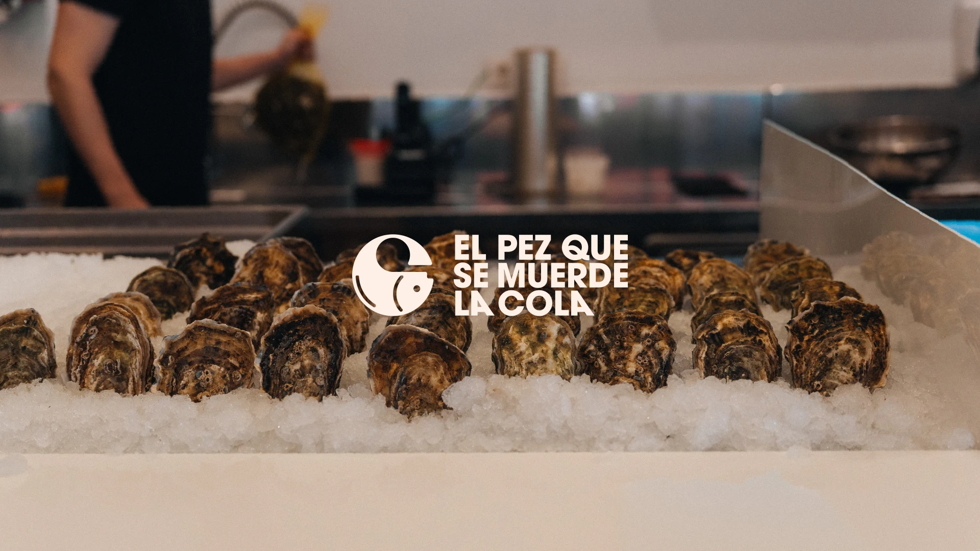 El Pez que se Muerde la Cola — aplicación de marca 4