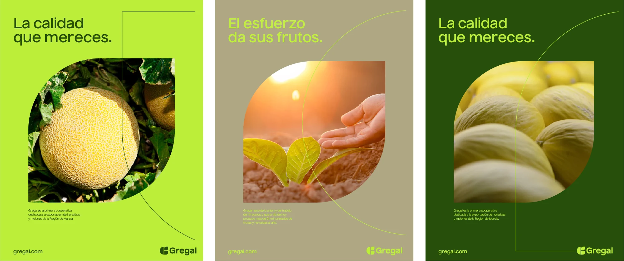 Gregal — aplicación de marca 2