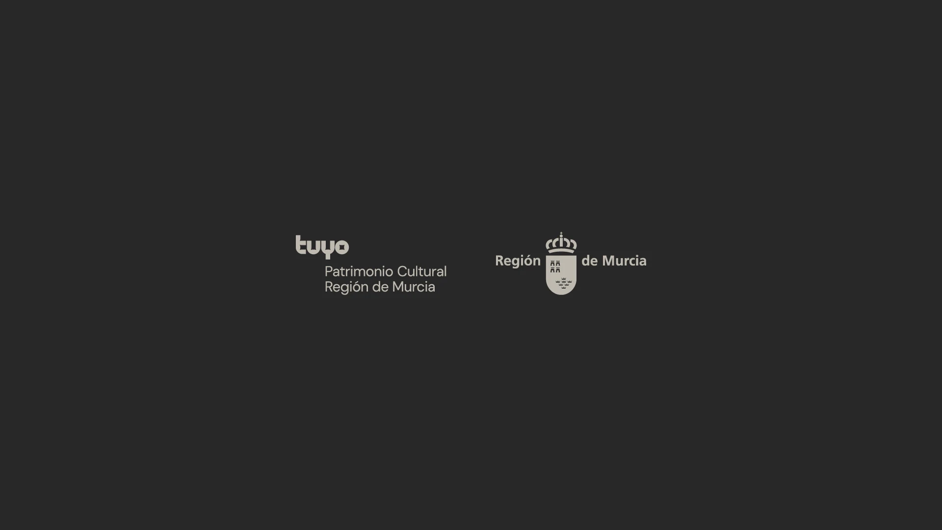 Tuyo — aplicación de marca 4