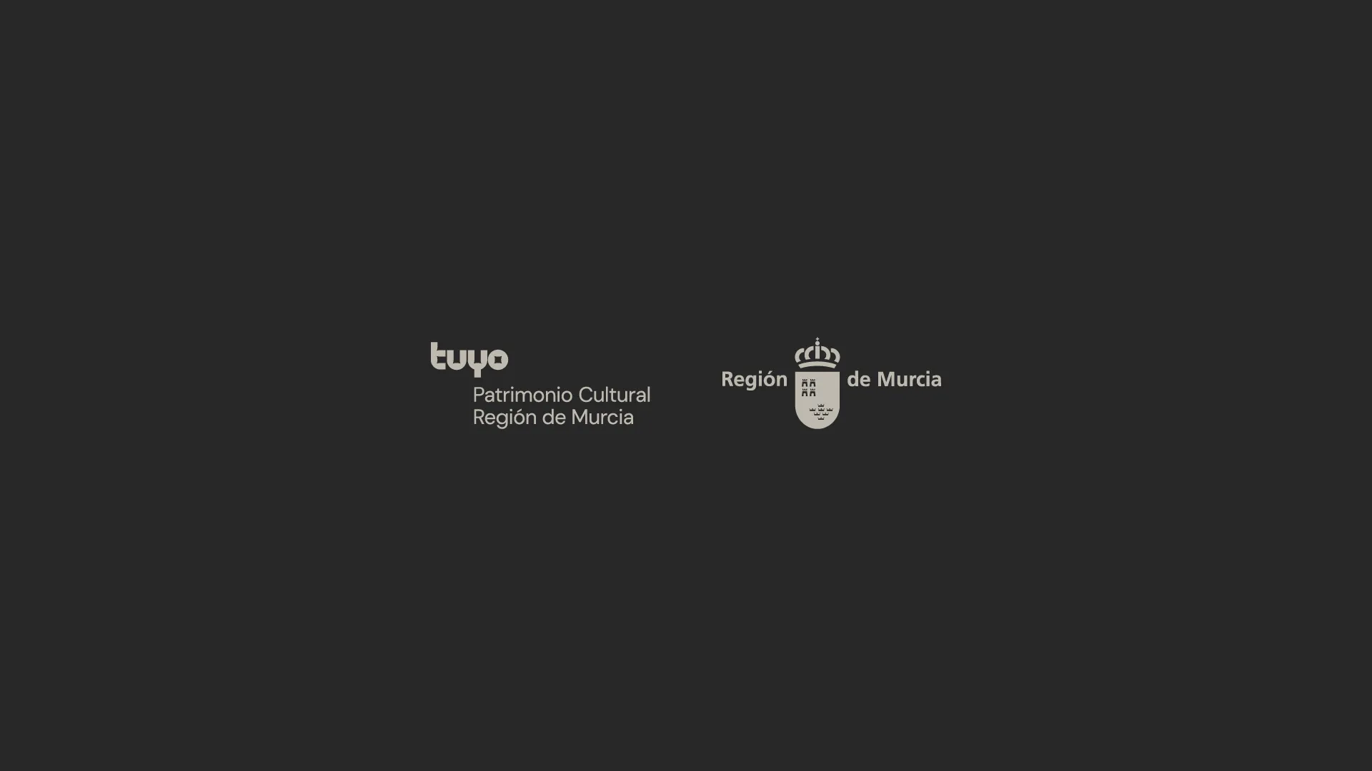 Tuyo — aplicación de marca 4