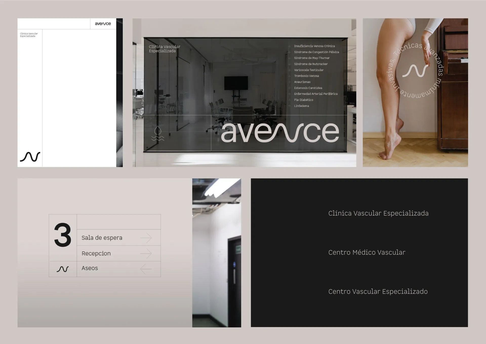 Avence — aplicación de marca 3